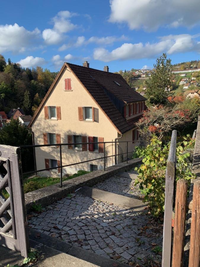 Grosse Wohnung Mit 2 Schlafzimmern Altensteig Εξωτερικό φωτογραφία